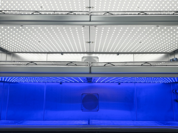 Camere climatiche BPC JIUPO - Illuminazione interna personalizzabile