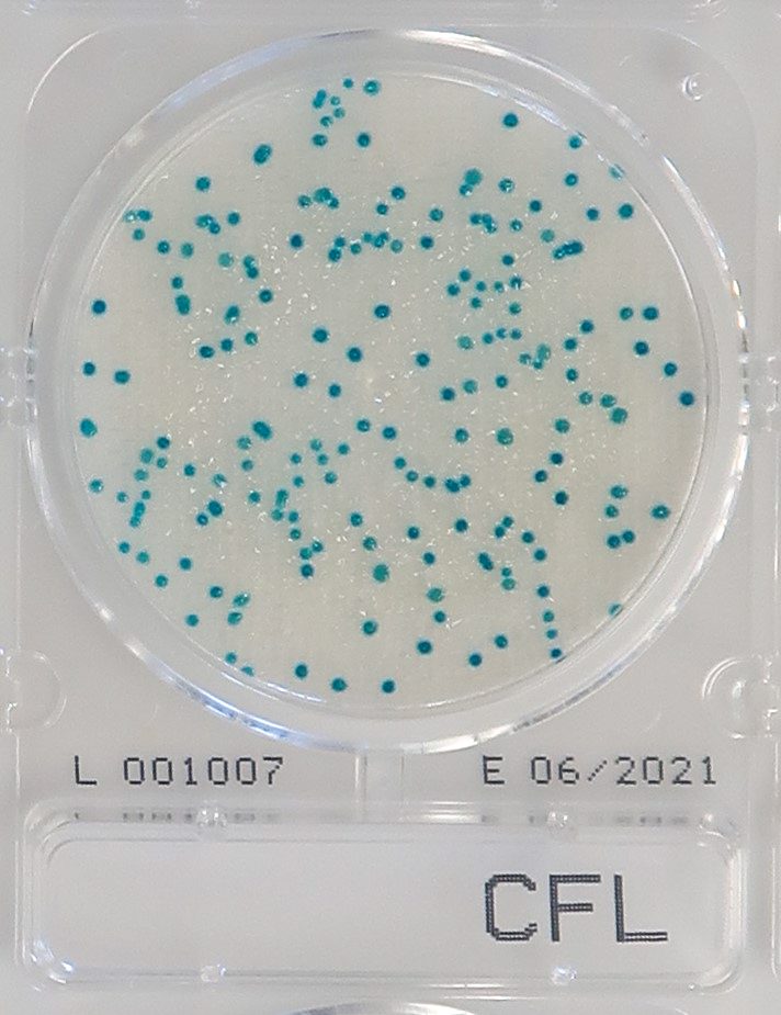 Compact Dry CF-L - Determinazione di coliformi in campioni lattiero-caseari