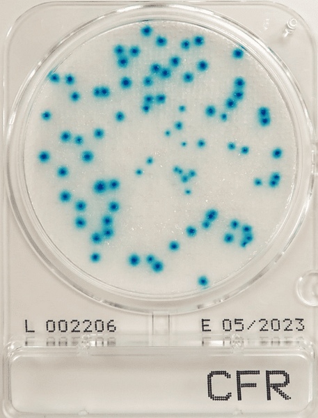 Compact Dry CFR - Determinazione rapida di coliformi in campioni lattiero-caseari e tamponi