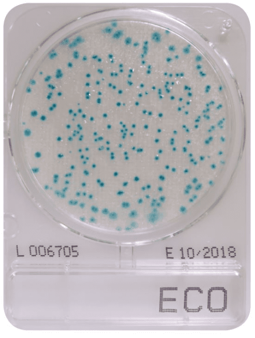 Compact Dry ECO - Determinazione di E. coli in alimenti, acque e tamponi