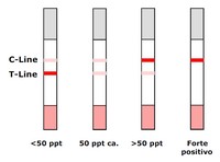 Quick Afla M1 Strip Test - Interpretazione risultati